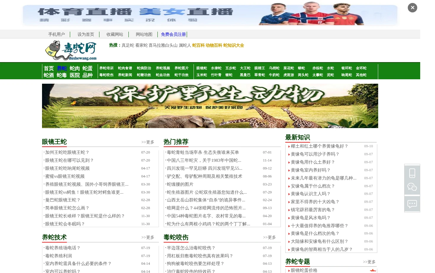 毒蛇网 页面快照
